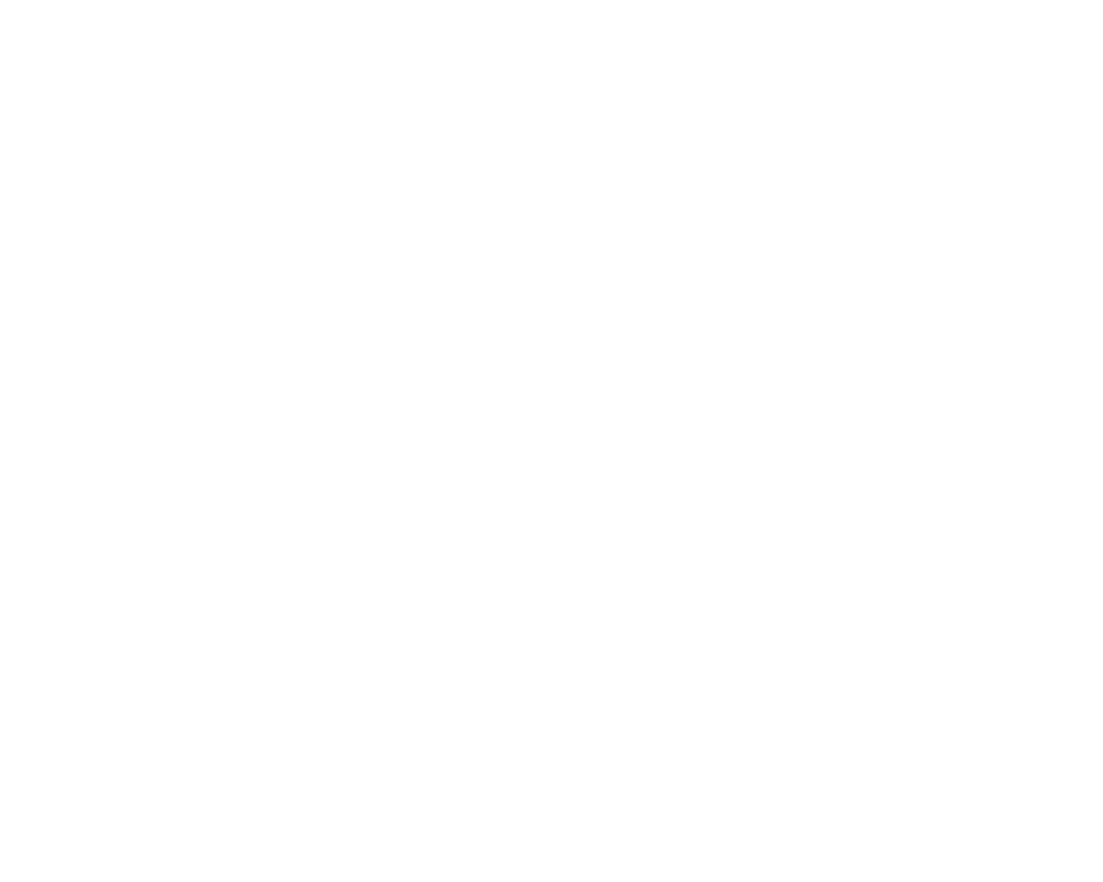 The Racquet Man